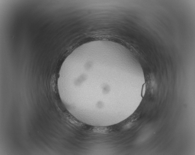 X0000082160767200702162234