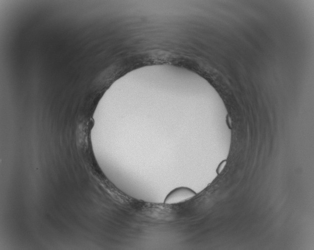 X0000082160768200702162234