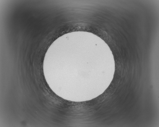 X0000082160769200702162233