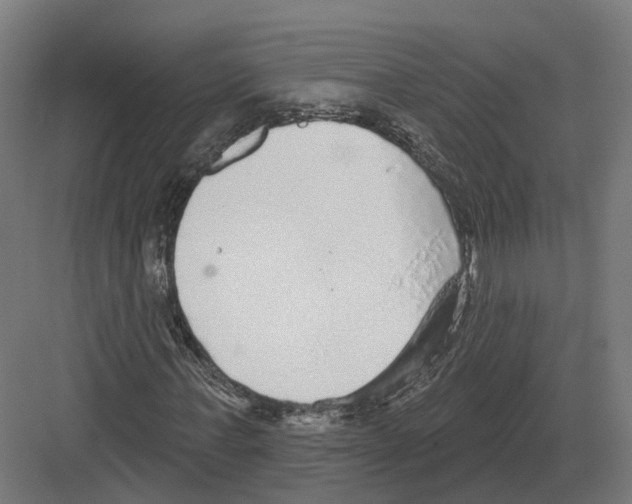 X0000082160771200702162233