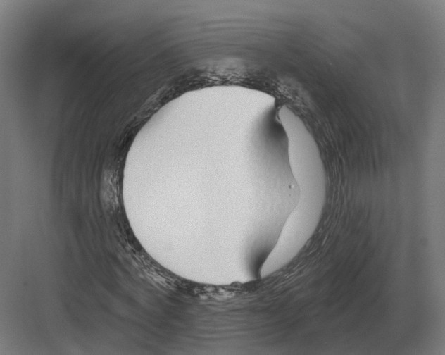 X0000082160772200702162233