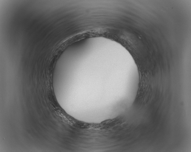 X0000082160773200702162233