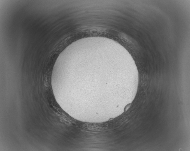 X0000082160774200702162233