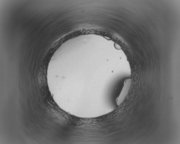 X0000082160775200702162233