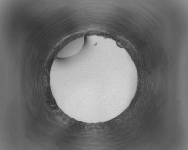 X0000082160776200702162233