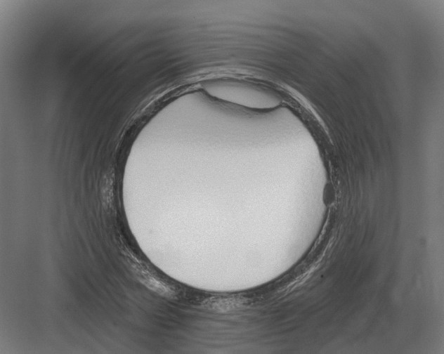 X0000082160778200702162233