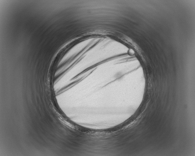 X0000082160779200702162233