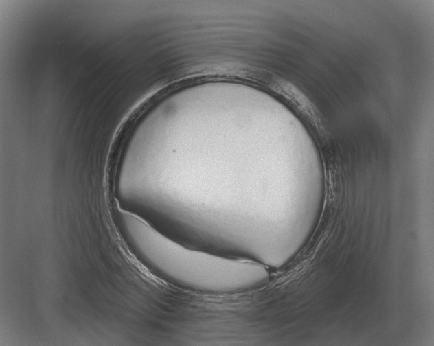 X0000082160780200702162233