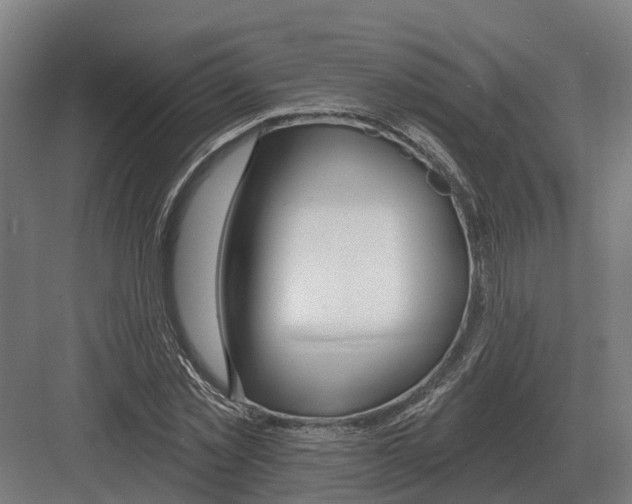 X0000082160781200702162233