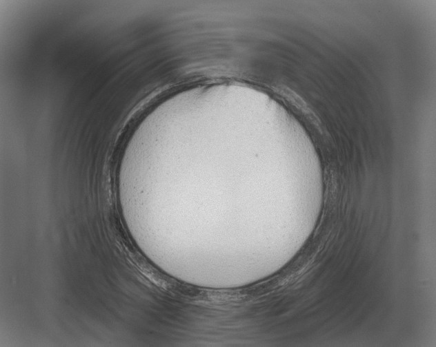 X0000082160782200702162233