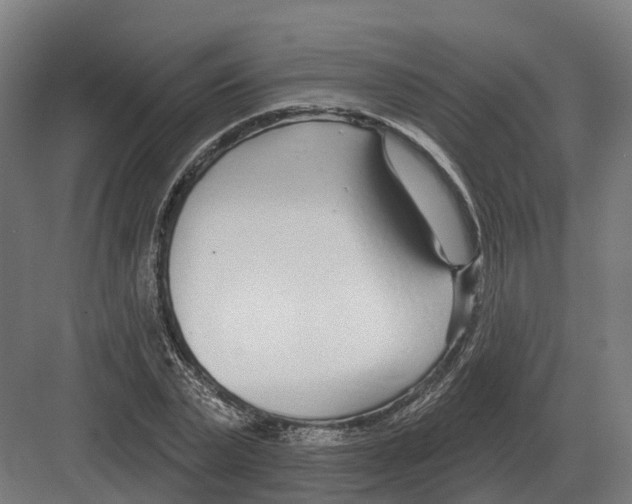 X0000082160783200702162233