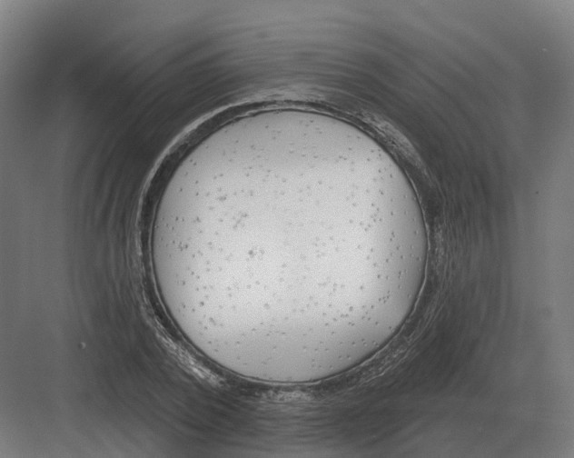 X0000082160784200702162233