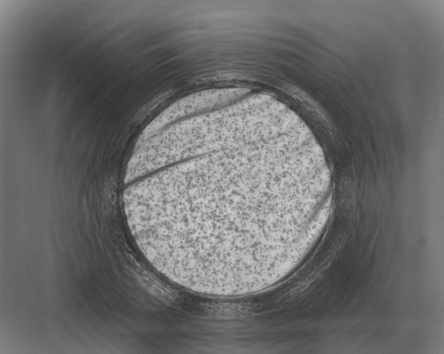 X0000082160785200702162233