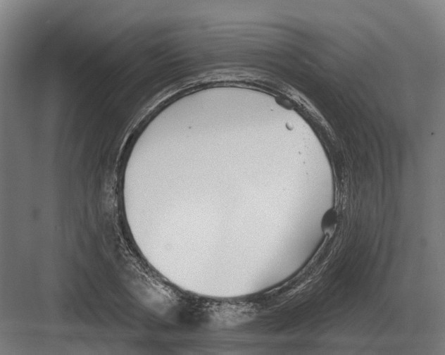 X0000082160786200702162233