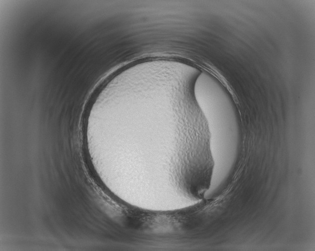 X0000082160787200702162233