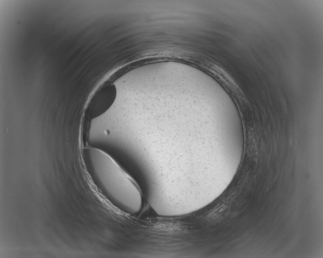 X0000082160788200702162233