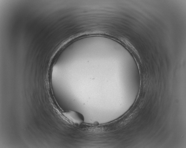 X0000082160789200702162233