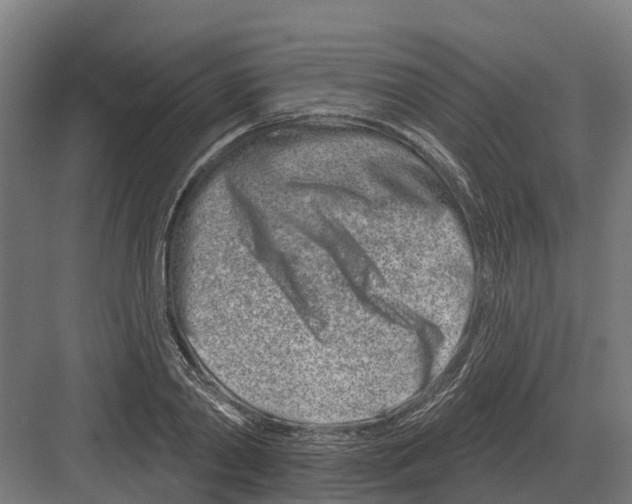 X0000082160790200702162233