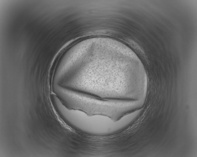 X0000082160792200702162233