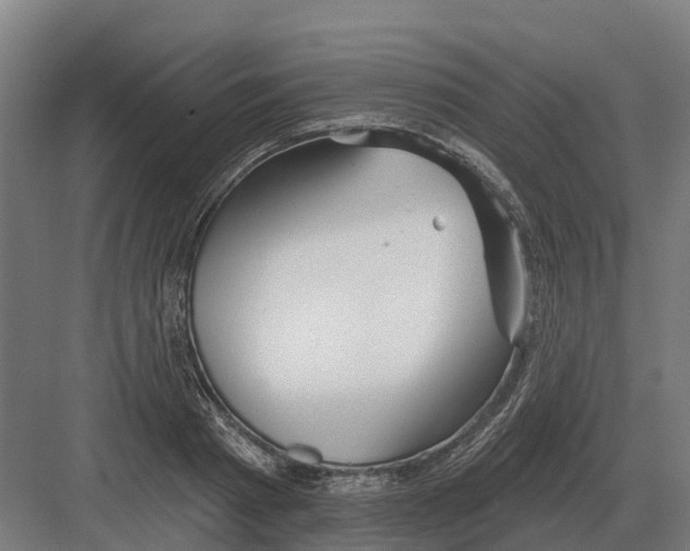 X0000082160793200702162233