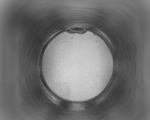 X0000082160794200702162233