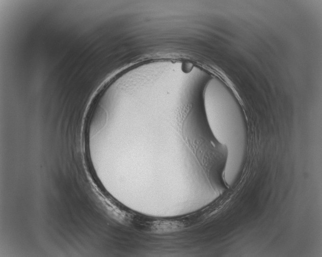 X0000082160795200702162233