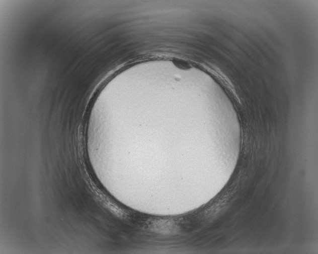 X0000082160798200702162233