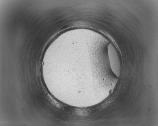 X0000082160799200702162233