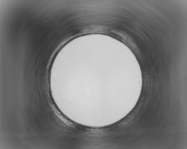 X0000082160800200702162233