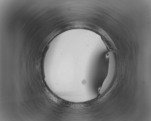 X0000082160801200702162233