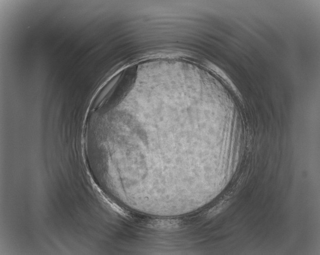 X0000082160802200702162233