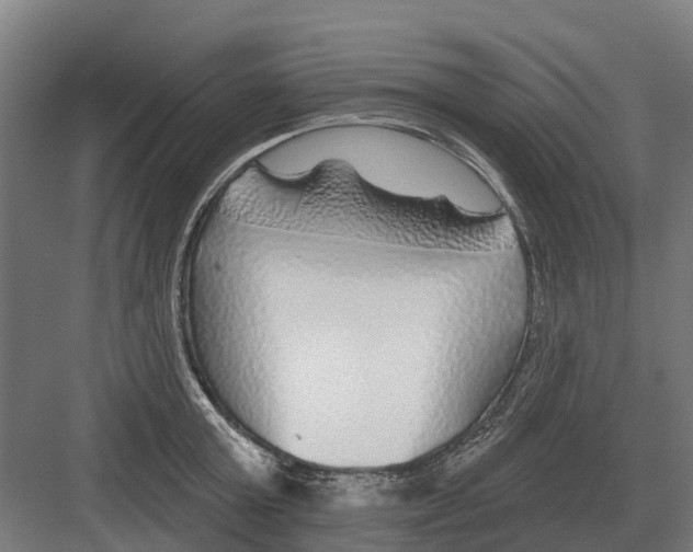 X0000082160803200702162233