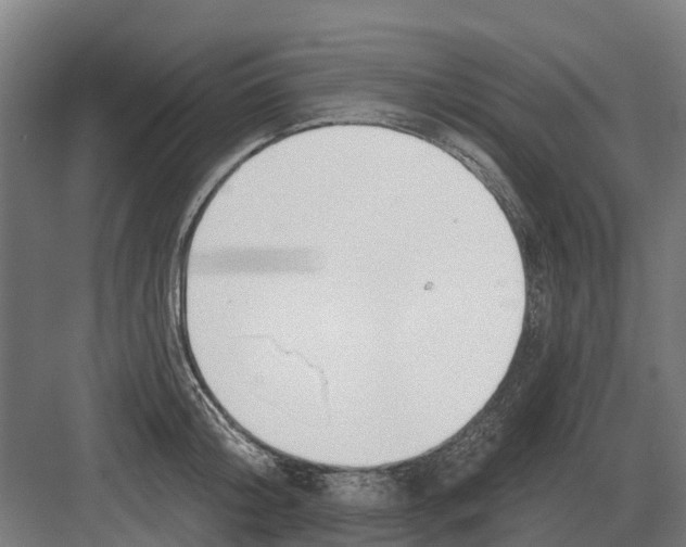 X0000082160804200702162233