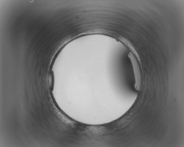 X0000082160805200702162233