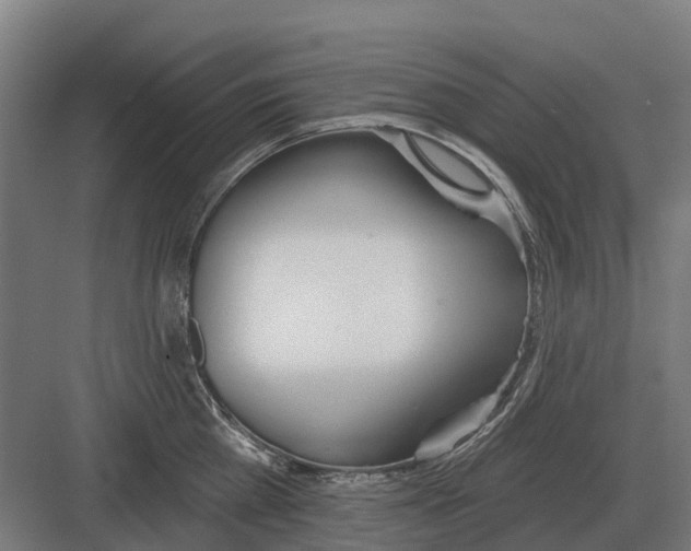 X0000082160809200702162233