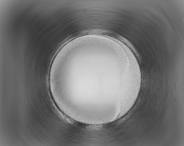 X0000082160810200702162233