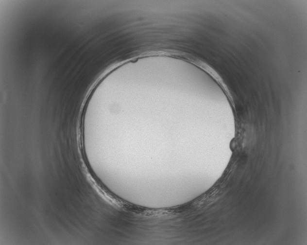 X0000082160811200702162233