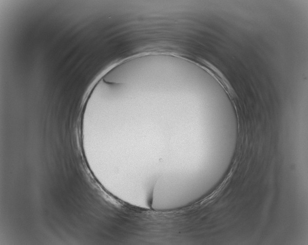 X0000082160812200702162233