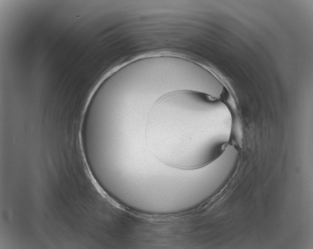 X0000082160813200702162233