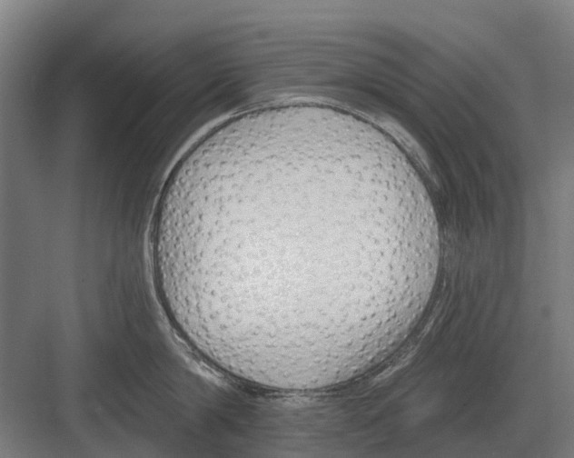 X0000082160814200702162233