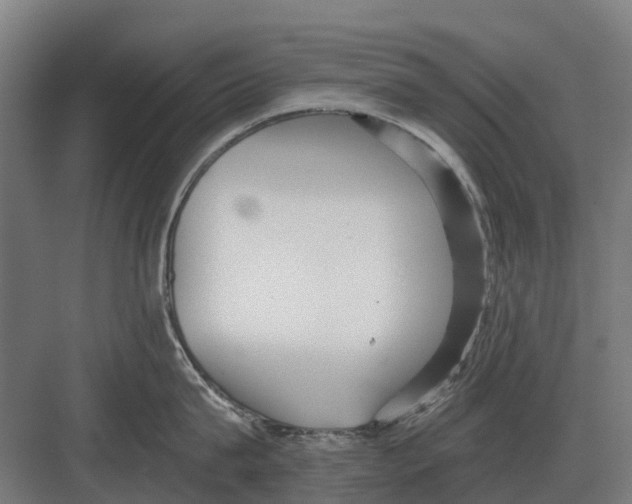 X0000082160815200702162233