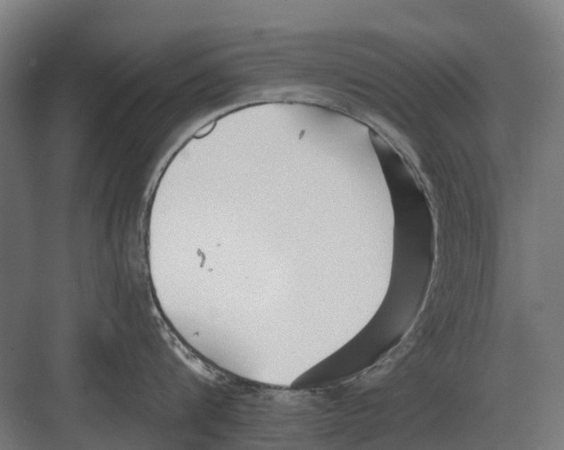 X0000082160816200702162233