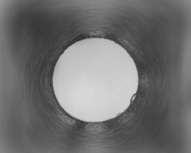 X0000082160817200702162232