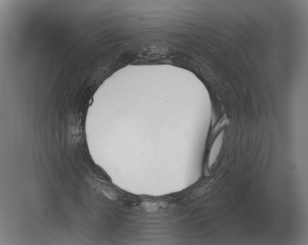 X0000082160818200702162232