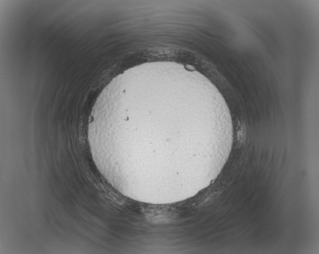 X0000082160819200702162232