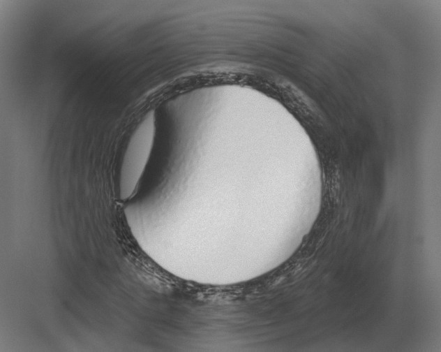 X0000082160821200702162232