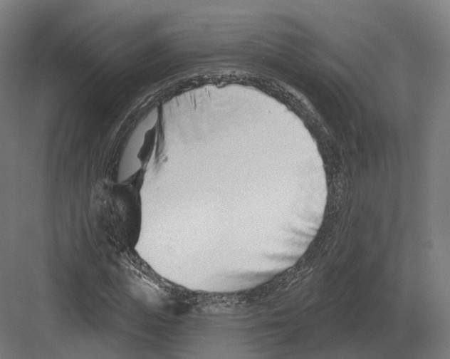 X0000082160823200702162232