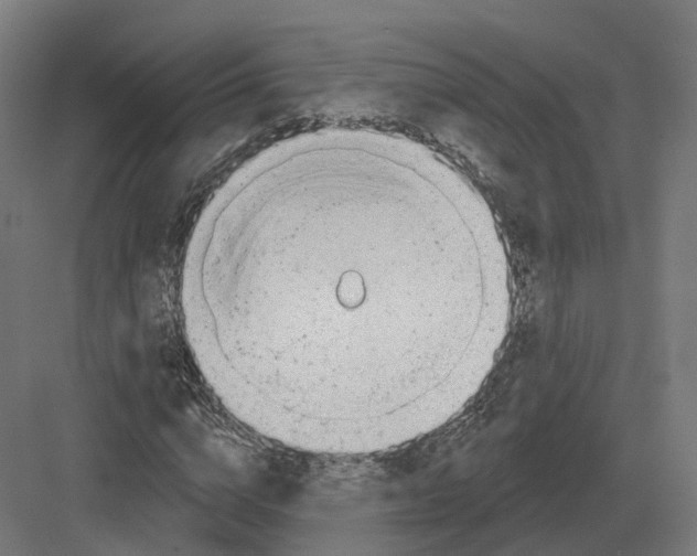 X0000082160824200702162232