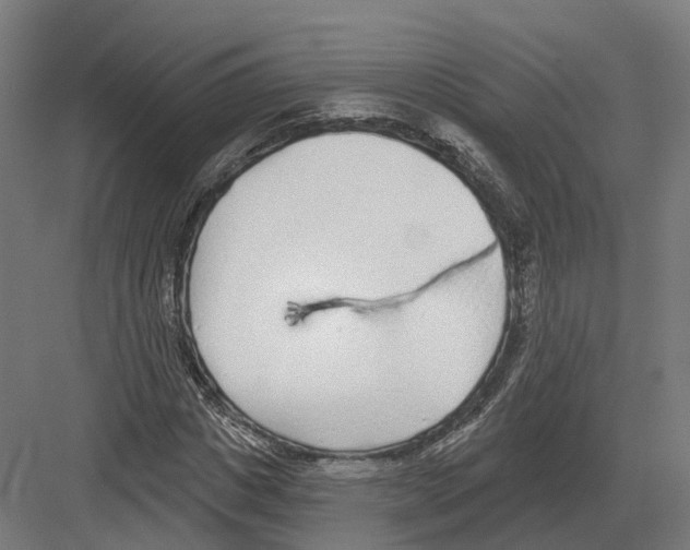 X0000082160825200702162232