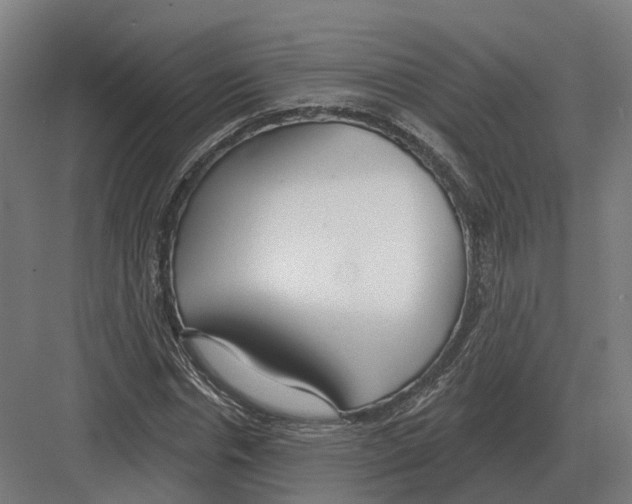 X0000082160826200702162232